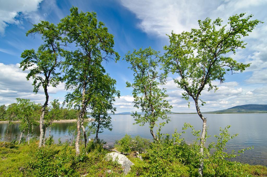 Hornavan Hotell Arjeplog Oda fotoğraf
